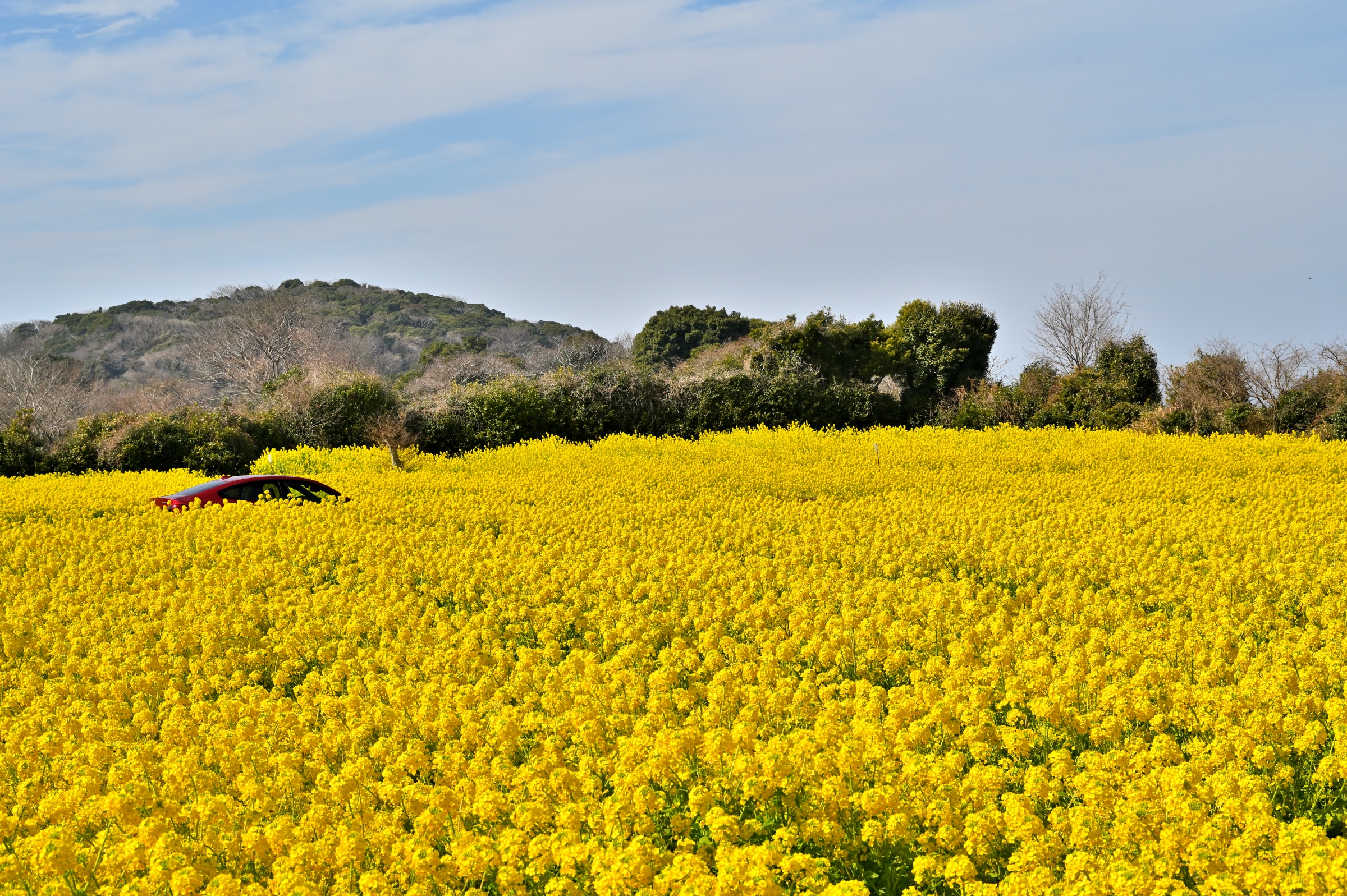 �E�F�u �A�j���[�^�[