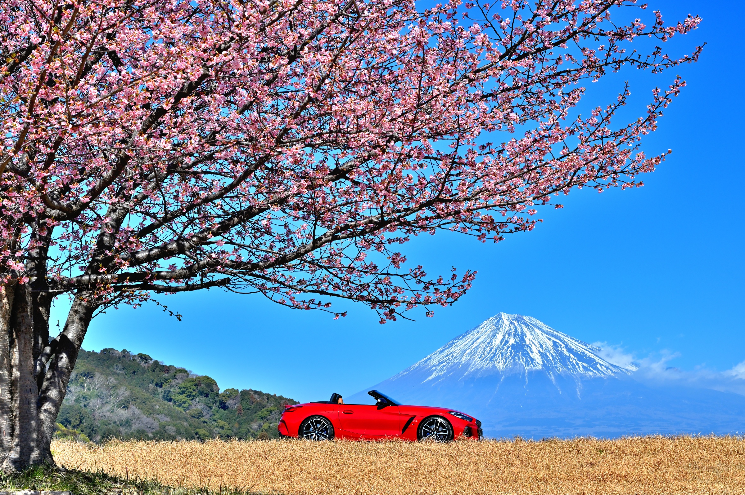 �E�F�u �A�j���[�^�[