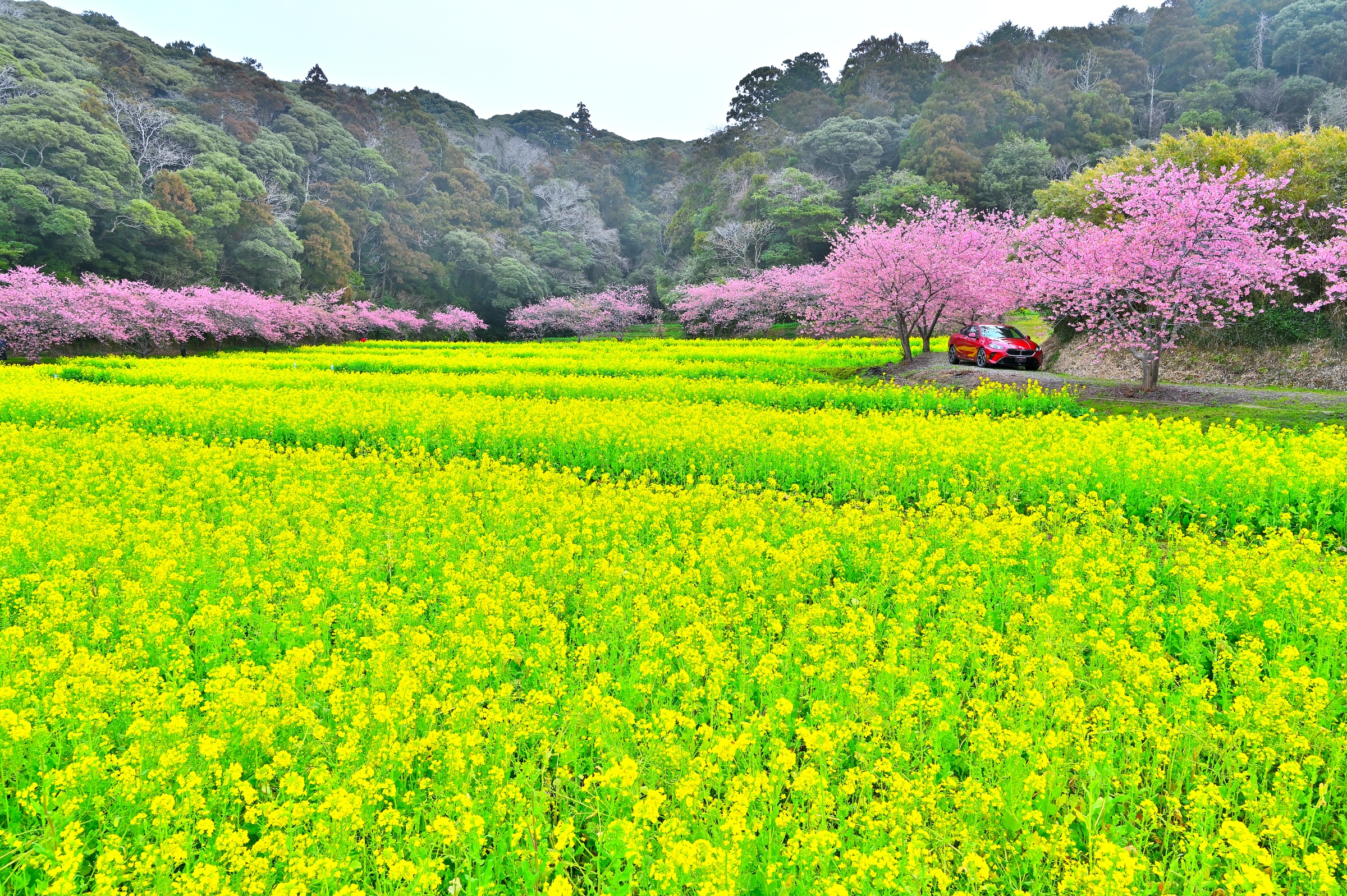 �E�F�u �A�j���[�^�[