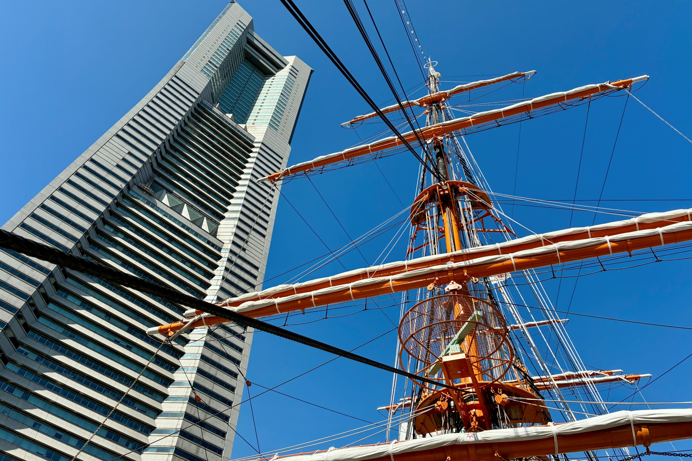 �E�F�u �A�j���[�^�[